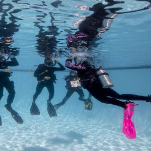 Learning to Dive