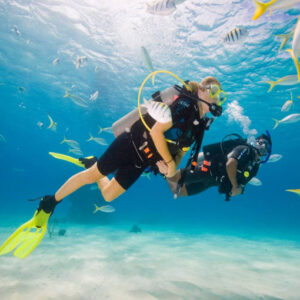 Open Water Referral