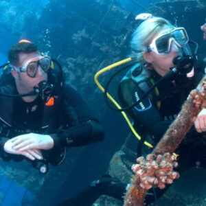 Wreck Diver